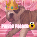 pibble palace ♡