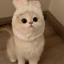 ♱𓉸𝖙𝖍𝖊 𝖔𝖇𝖘𝖈𝖚𝖗𝖊 𝖌𝖗𝖔𝖚𝖓𝖉𓉸♰ Discord server icon