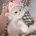 My Hero: Ascendant •⚔• Discord server icon