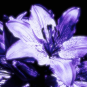 ✶｡𝑨𝒎𝒆𝒕𝒉𝒚𝒔𝒕 𝑩𝒍𝒐𝒐𝒎｡✶ Server Icon