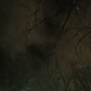 ☆Starfall hangout☆ Discord server icon