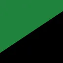 The Tambov Partisan Republic