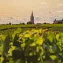 Duchy Of Vincloux