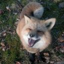 .　⟢　ѵเאεɳ　　˘