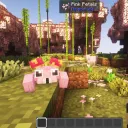 Discover PinkanCraft
