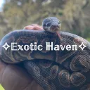 ✧𝔼𝕩𝕠𝕥𝕚𝕔 ℍ𝕒𝕧𝕖𝕟✧ discord icon