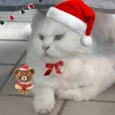 최저가종합몰
