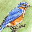 The Blue Birds
