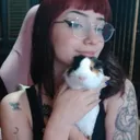 Live da Lia