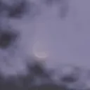 The Congregation of the Red Moon