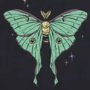 Moth & Mayhem