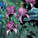 °🥂࿔*:･𝒌𝒓𝒂𝒌𝒐𝒂 𝒊𝒔𝒍𝒂𝒏𝒅 Discord server icon