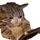 custom stickers, get now's icon