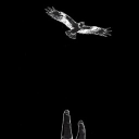 𝐄𝐜𝐡𝐨𝐞𝐬 𝐨𝐟 𝐖𝐚𝐫|⚔| An Attack On Titan Roleplay Discord server icon