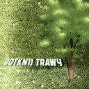ꕤ﹑𝑑𝑜𝑡𝑘𝑛𝑖𝑗 𝑡𝑟𝑎𝑤𝑦🌾👈 ୨୧