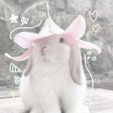 Sunlight⛅ Discord server icon