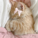 ◌ ♢ dα𝓷𝓰α𝓷𝕤𝕠𝕟𝕒 ·· ♢ ◌ Discord server icon