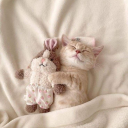 ✦   ˚  ⸝⸝  plumerra  𖤓 Discord server icon