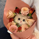 ghøüłïés ⋆˙⟡ Discord server icon