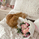 ꕤ‿❀   ~skyrim~   ˖⋆    𓆉 Discord server icon