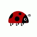/Starbug