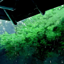 Kaze Garden