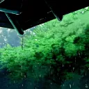 Kaze Garden