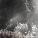 𝐄𝐃𝐆𝐄 𝑶𝐅 𝑵𝑶𝑾𝑯𝐄𝑹𝐄 .⋆♱ Discord server icon