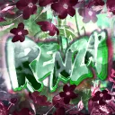 Renzai