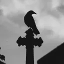 Darkstar united (NA)