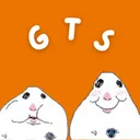 Goose Top Shop (GTS)