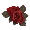 𝐭𝐡𝐞 𝐬𝐢𝐦𝐩𝐢𝐧𝐠 𝐜𝐨𝐫𝐧𝐞𝐫 + . 🌹 // 13+