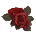𝐭𝐡𝐞 𝐬𝐢𝐦𝐩𝐢𝐧𝐠 𝐜𝐨𝐫𝐧𝐞𝐫 + . 🌹 // 13+ Discord server icon