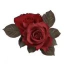 𝐭𝐡𝐞 𝐬𝐢𝐦𝐩𝐢𝐧𝐠 𝐜𝐨𝐫𝐧𝐞𝐫 + . 🌹 // 13+