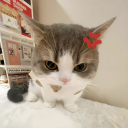 𐌀⟁⋈Ꜣℹɹℯ⋈Ꜣℶ𐌵⍀⍶Ꜧᨖ⋄Ꜧℹ⋈ꜥꞇꜥ⍆ Discord server icon