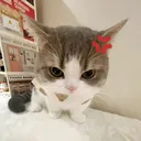 𐌀⟁⋈Ꜣℹɹℯ⋈Ꜣℶ𐌵⍀⍶Ꜧᨖ⋄Ꜧℹ⋈ꜥꞇꜥ⍆