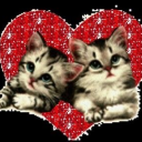 its never over Discord server icon