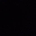 보지 걸레교육 Discord server icon