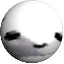echo_meow51