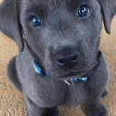 Sugardaddy's server Discord server icon