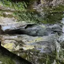Orga sortie bioscope