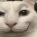 it's HIGH NOOOOOOOOOON