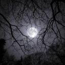 the freezing moon
