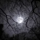 the freezing moon
