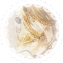 ﹐゛𝒚𝒖𝒎𝒆𝒔𝒑𝒓𝒊𝒏𝒈𓎟𓎟　　⏜　﹒