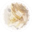 ﹐゛𝒚𝒖𝒎𝒆𝒔𝒑𝒓𝒊𝒏𝒈𓎟𓎟　　⏜　﹒