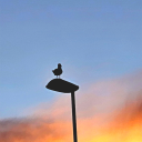 Home town Discord server icon