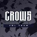 CROWs | VBL TEAM 🏐