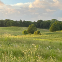 Grass Discord server icon