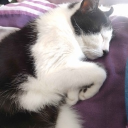 Questionable ppl Discord server icon